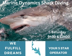 Next Marine Dynamics Shark Cage Diving Trip: 04 February 2023