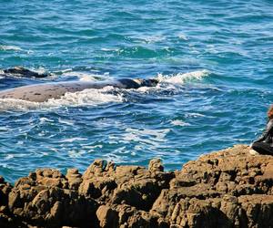 Overstrand on the World’s Most Loved Destination List