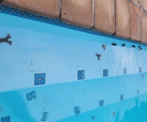 Onrus Vermont Platannas Back