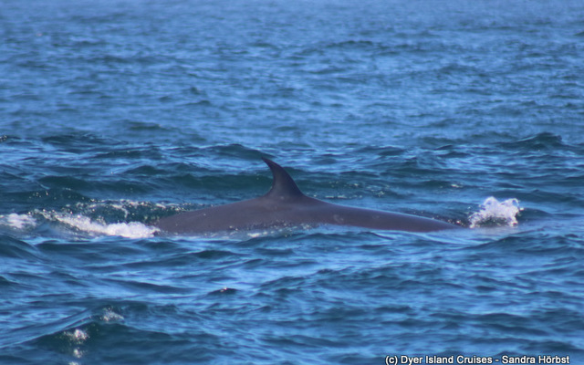 WhatsApp_Image_2023_02_07_at_15.30.27_1675779550