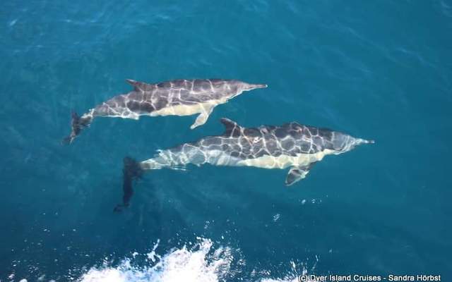 WhatsApp_Image_2023_02_07_at_15.30.28_1675779530