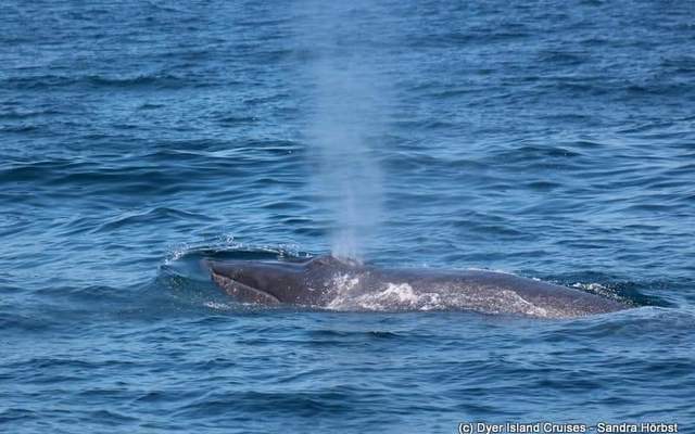 WhatsApp_Image_2023_02_07_at_15.30.28_1__1675779530