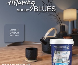 Prominent Paints: Moody Blue