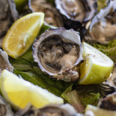 Oysters - Quayside Cabin - Xplorio™ Hermanus