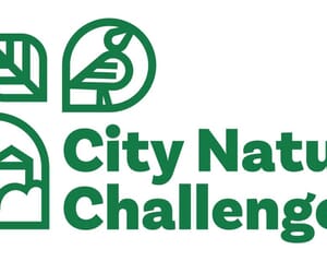 City Nature Challenge 2023: Overberg