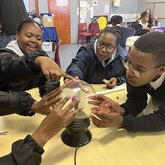 SANSA Tours - SANSA Hermanus - Xplorio™ Hermanus