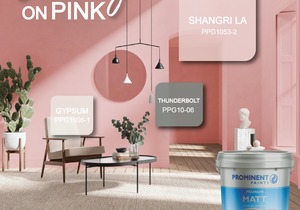 Prominent Paints: Pink Shade