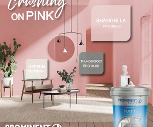 Prominent Paints: Pink Shade