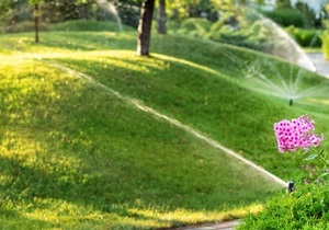 Sprinkler System - SAVE Money, Time and Water!