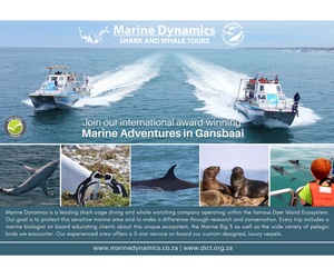 Next Dyer Island Marine Big 5 Tour: 15 February 2023