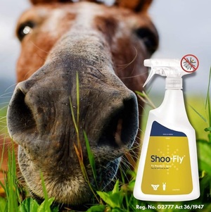 Shoo Fly Horse Pony Fly Insect Spray | UK - View #7