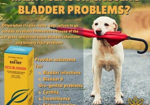 Eco-Bladder: Bladder Problems (Animals)