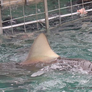 WhatsApp_Image_2023_02_17_at_13.27.34_1676636836