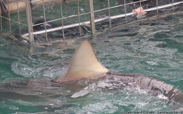 WhatsApp_Image_2023_02_17_at_13.27.34_1676636836