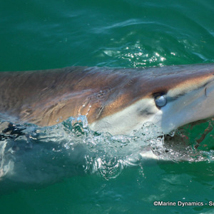 WhatsApp_Image_2023_02_17_at_13.27.35_1676636836