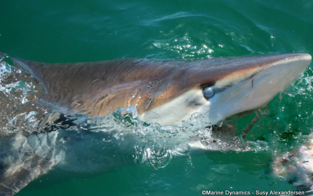 WhatsApp_Image_2023_02_17_at_13.27.35_1676636836