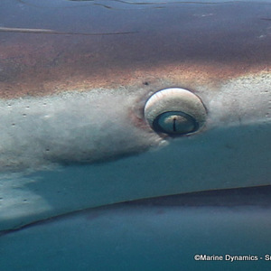 WhatsApp_Image_2023_02_17_at_13.27.35_1__1676636837