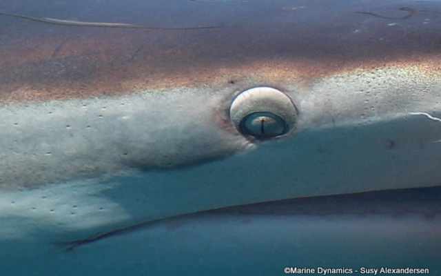 WhatsApp_Image_2023_02_17_at_13.27.35_1__1676636837