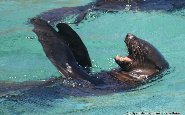 WhatsApp_Image_2023_02_17_at_13.27.35_2__1676637046