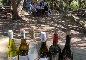 Wine Tour Review from Patricia Menge at Lomond Wine Estate