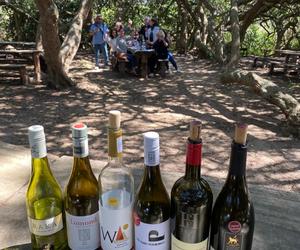 Wine Tour Review from Patricia Menge at Lomond Wine Estate