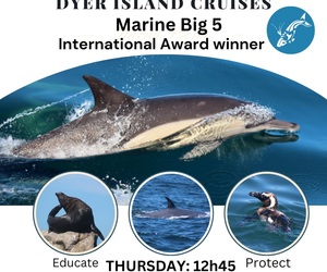 Next Dyer Island Marine Big 5 Tour: 23 February 2023