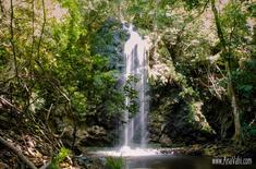 Fynbos_trail_day_3_58_of_185_1__1677062610