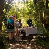 Picnic Lunches - The Fynbos Trail - Xplorio™ Gansbaai