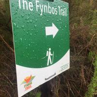 Hiking - The Fynbos Trail - Xplorio™ Gansbaai