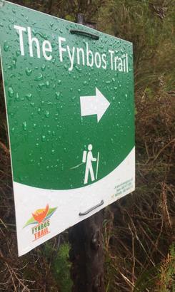 6a2e01fb_2cbc_4602_a4d6_f43f5ee335e0_1__1677062718