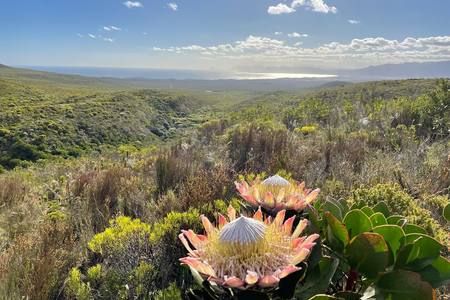 278135806_4926270104159245_4504487217841564145_n_1677062925