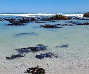 Our Beautiful Coastline