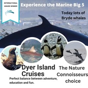 Next Dyer Island Marine Big 5 Tour: 24 February 2023