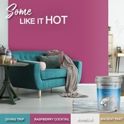 Prominent Paints: Raspberry Cocktail Colour Paint