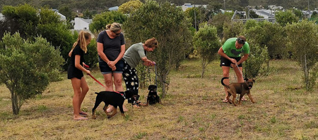 272478870_6898893840182950_4138010138039905067_n_1677490978