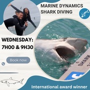 Next Marine Dynamics Shark Cage Diving Trip: 1 March 2023