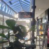 Branding and Printing - Wildside - Xplorio™ Hermanus