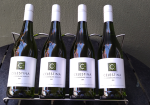 Now in Stock: Celestina