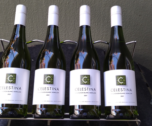 Now in Stock: Celestina