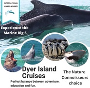Next Dyer Island Marine Big 5 Tour: 3 March 2023