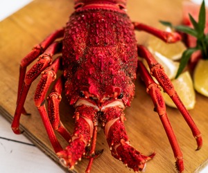 March 2023 Buffet Calendar