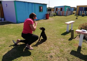 Basic Home Obedience - Level 1