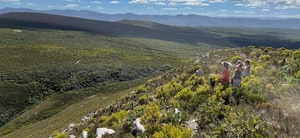 Hiking Trail Guest Reviews