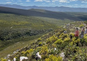 Hiking Trail Guest Reviews