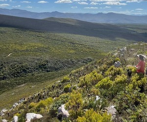 Hiking Trail Guest Reviews