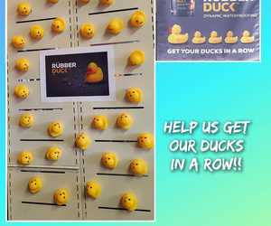 WIN x2 20L Promac Rubber Duck Liquid Rubber