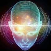 The Human Brain as a Transducer - Juan Esterhuizen Transformation Psychologist & Life Coach - Xplorio™ Caledon