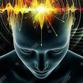 The Human Brain as a Transducer - Juan Esterhuizen Transformation Psychologist & Life Coach - Xplorio™ Caledon