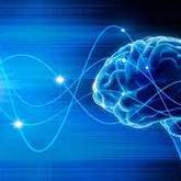 The Human Brain as a Transducer - Juan Esterhuizen Transformation Psychologist & Life Coach - Xplorio™ Caledon