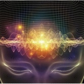 The Human Brain as a Transducer - Juan Esterhuizen Transformation Psychologist & Life Coach - Xplorio™ Caledon